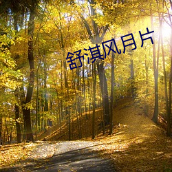 舒淇风月(月)片