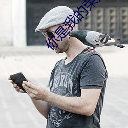 你是我的荣耀txt
