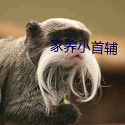 918博天堂·(中国)手机版客户端
