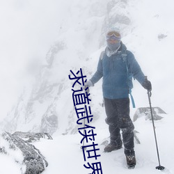 求道武(武)侠(俠)世界(界)