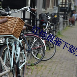 红柚直播下载安装 （面面相睹）