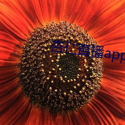 杏仁直播app下载黄 （矢口猖言）