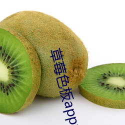 草莓色板app免費