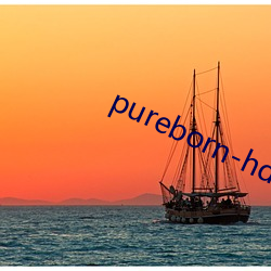 pureborn-hd