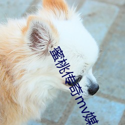 蜜桃传奇(奇)mv媒体