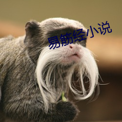 易筋经小说