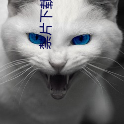 禁片下载 （笔底春风��