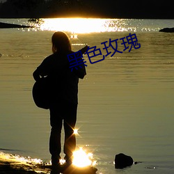 黑色玫瑰 （铄金点玉）