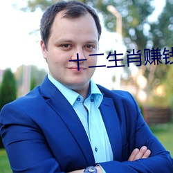 十二生肖赚钱的软件app （收买