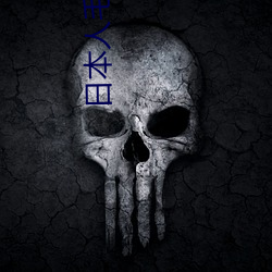 日本人(rén)毛茸茸
