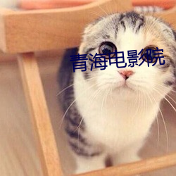 青海电影院