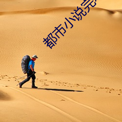 都市小说完本