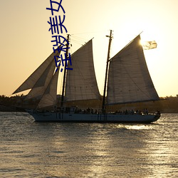 淫穢美女直播