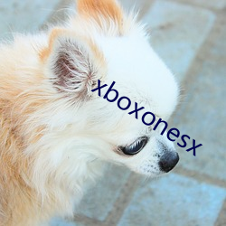 xboxonesx