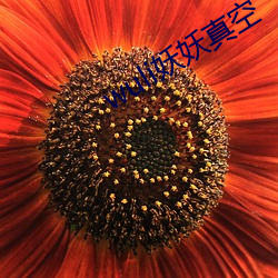 wuli妖妖(妖)真(真)空