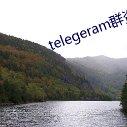 telegeram群(qún)资源