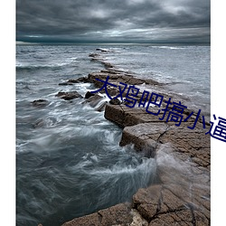 大鸡吧搞(gǎo)小(xiǎo)逼