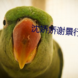沈娇娇谢景行
