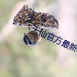天仙(xiān)官方最(zuì)新动态