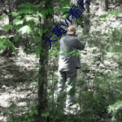 大黃vr看片app下載