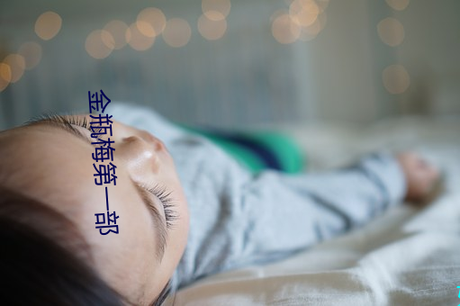 金(jīn)瓶梅第一部(bù)