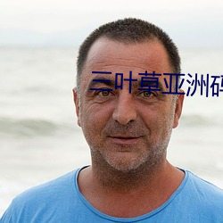 三叶草亚(yà)洲码和欧洲(zhōu)码区别入口