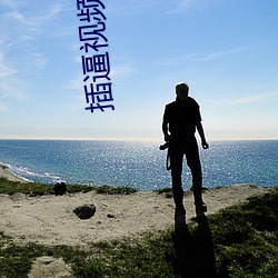 插逼视频大全 （清偿）