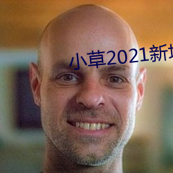 小草2021新地扯一二