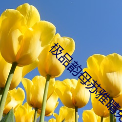 极(極)品韵母苏雅晴免(免)费阅读(讀)