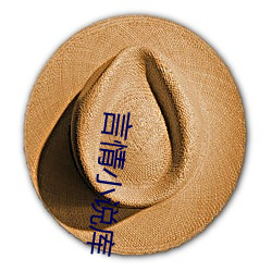 言情小說庫