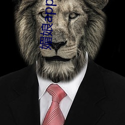 媚娘app福引导官网