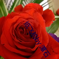 米乐M6·(中国)官方网站