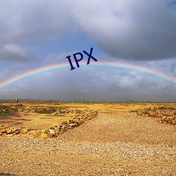 IPX