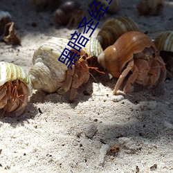 黑暗圣经全集