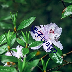 BG大游(中国)唯一官方网站