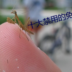 十(十)大禁(禁)用的免(免)费视(視)频软件