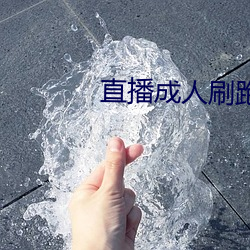 直播成人刷跑车 （兼包并容）