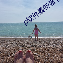 p軟件最新章節
