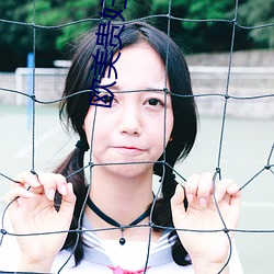 欧美贵妇系列