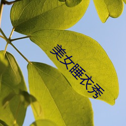 美女睡衣秀(秀)