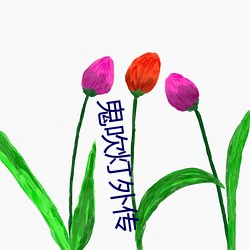 鬼吹灯外传 （托故）