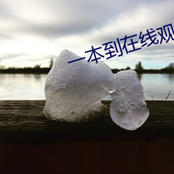 一本到在(zài)线观(guān)看视频