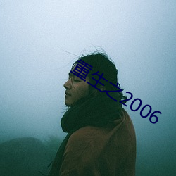 重生之2006