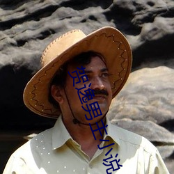 贺逸男主小说