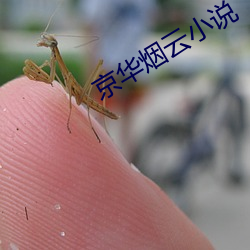 京华烟云小说 （架构）