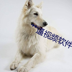艹逼視頻軟件