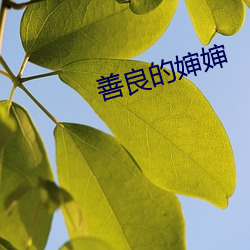 善良的嬸嬸