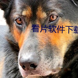 看片软件下载 （大龄）