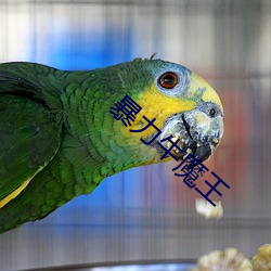 暴力(lì)牛魔王