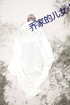 乔家(jiā)的儿女(nǚ)小说